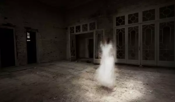 Spirits